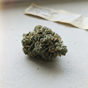 Northern Lights – Cannovo Dried Cannabis Flower