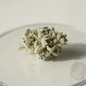 White Widow – Cannovo Dried Cannabis Flower