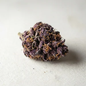 Granddaddy Purple – Cannovo Dried Cannabis Flower