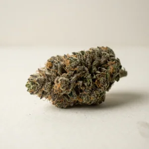 Girl Scout Cookies – Cannovo Dried Cannabis Flower