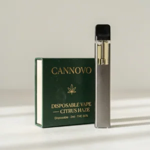 Disposable Vape — Citrus Haze – Cannovo Disposables