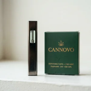 Disposable Vape — CBD Mint – Cannovo Disposables